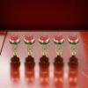 5 x Misting Nozzles for Irrigation, Misting, Cooling and Humidification, Compatible with 1/2 in DN15 Threaded Fittings view 3