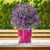 Artificial Flowers for Outdoor Planters, Realistic Plants with Ground Spikes view 3