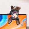 Car Dashboard Dog Decor view 3