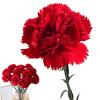 Artificial Carnation Flowers Bouquet view 1