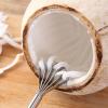 Coconut Scraper - Pro view 3