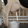 Alipis Weier Silicone Milking Hose for Cows and Sheep, Soft, Flavor-Neutral, Durable view 4