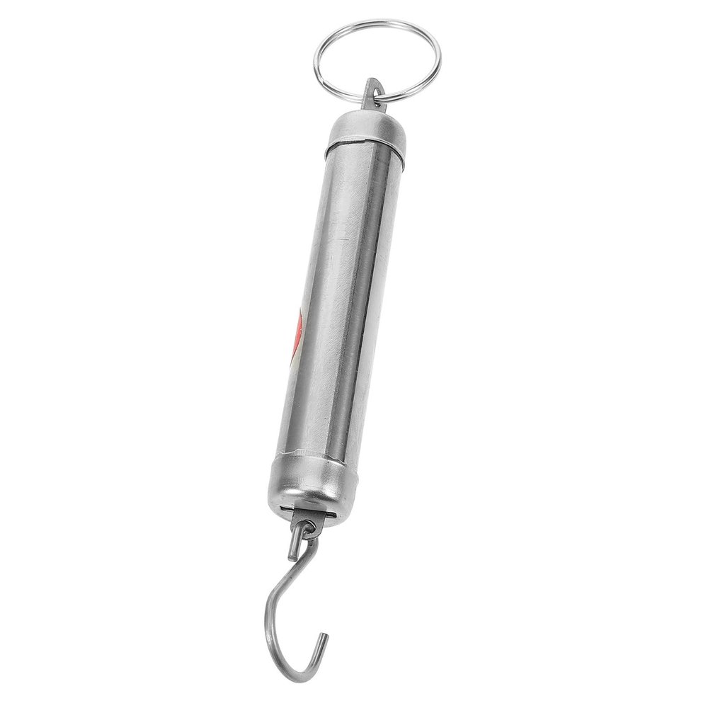 RUNROTOO Portable Stainless Steel Mechanical Spring Scale, 5 kg