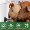 TERNCOEW Automatic Livestock Water Nipple with Touch Switch view 4