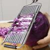 Manual Stainless Steel Vegetable Slicer view 3
