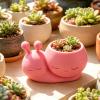 Mini Snail Planter view 3