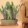 Plant Saucer Set, 4-Pack, 20 cm, PP view 3