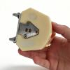 Dental Implant Training Model: Jaw, Maxillary Sinus, and Mandibular Bridge Models view 4