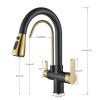 CLMJHG MOCHAMIK Kitchen Faucet, Gold/Black/Chrome, Pull-Down Filter, 2/3-Way Mixer, Hot/Cold Water, Beige with Dots view 2