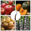 3-in-1 Vegetable Peeler with Wooden Handle and Bottle Opener view 3