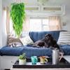 Artificial Ivy Vine for Home and Garden view 2