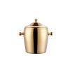 ETUELNOPT Champagne, Wine & Beer Cooler, Double-Wall Stainless Steel Champagne Ice Bucket with Handle, 1.2 L, for Bar Parties view 1