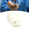 ACOGEDO Life-Size Human Infant Skull Model, PVC Fetal Anatomy Model for Medical Teaching, Learning, Students, Education and Display view 2