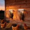 YPBEW Robust Metal Poultry Processing Point with Protective Sleeves view 4