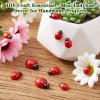 HJZHII 100 Pcs Mini Ladybug Wood view 4