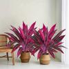 Artificial Cordyline Fruticosa Tropical Plant - 21 Inch UV-Resistant view 2