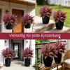 Artificial Cordyline Fruticosa Tropical Plant - 21 Inch UV-Resistant view 3