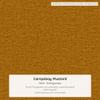 foamnova Fabric Sample for York Sofa Model Color Mix view 4