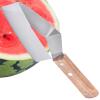Triangular Watermelon Cutter view 1
