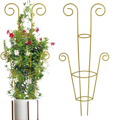 Outdoor Metal Trellis for Climbing Plants