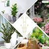 Outdoor Metal Trellis for Climbing Plants view 4