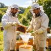 Bee Farming Honey Filter view 2