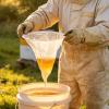 Bee Farming Honey Filter view 3