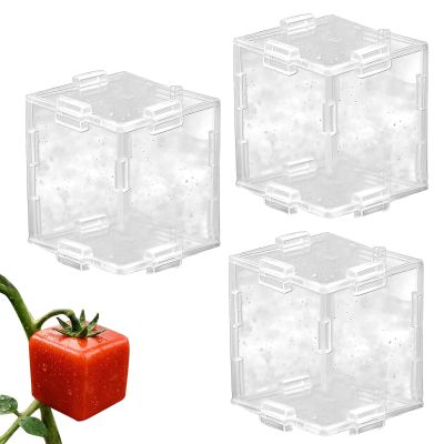 Fruit Shaping Molds, 3 pcs, Triangular and Cubic Designs