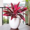 Generic Artificial Plants - UV-Resistant Tropical Stem view 3