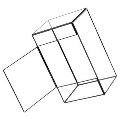 Simple Glass Terrarium for Plants, Miniature Landscape Planter Box