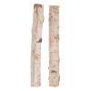 Zerodeko 2 Natural Birch Wood Logs for Fireplaces and Decoration view 1