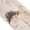 Zerodeko 2 Natural Birch Wood Logs for Fireplaces and Decoration view 3