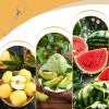 Ungtyb Watermelon Slicer Tool view 4