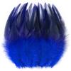 Holmgrem King Blue Rooster Feathers - 200pcs view 1