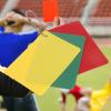 Soccer Referee Cards view 3