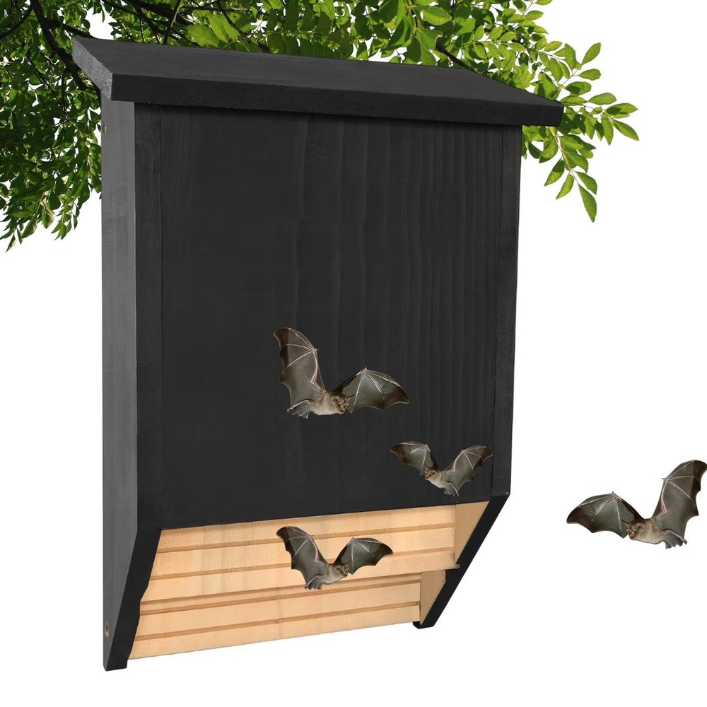 Bat House for Wetland Areas, Wooden Shelter as a Resting Place and