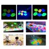 Glow-in-the-Dark Garden Pebbles, 260 Colorful Decorative Stones view 3