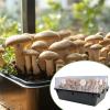 Mushroom Filter Sheet, Moisture-Retaining Sheet | Mushroom Filter Patch for Gardeners, Beginners, Labs, and Greenhouses view 2
