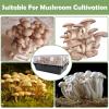 Mushroom Filter Sheet, Moisture-Retaining Sheet | Mushroom Filter Patch for Gardeners, Beginners, Labs, and Greenhouses view 4