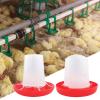 Chicken Feeder and Waterer Anti-Drowning Automatic Container view 2