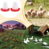 Chicken Feeder and Waterer Anti-Drowning Automatic Container view 4