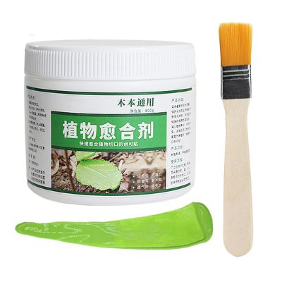 Tree Wound Sealant After Pruning, 500 g Plant Care Balm with Brush
