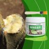 Tree Wound Sealant After Pruning, 500 g Plant Care Balm with Brush view 3