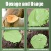 Tree Wound Sealant After Pruning, 500 g Plant Care Balm with Brush view 4