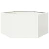 Tonture White Hexagonal Steel Raised Garden Bed 104 x 90 x 45 cm view 1