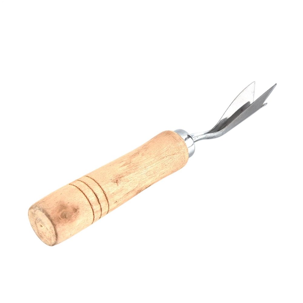 Pineapple Corer Tool, Stainless Steel V-Shape Ergonomic & Multifunctional