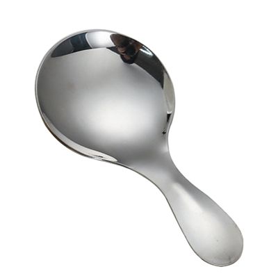 Stainless Steel Mini Spoon - Short Handle Ice Cream Spoon