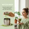 Stainless Steel Matcha Sifter & Storage Tin Set, 40-Mesh view 4