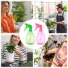 Generic Plant Sprayer - 2-Piece Hand Sprayer - 500ml view 4