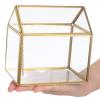 Uonlytech Small House-Shaped Glass Greenhouse with Geometric Metal Frame for Indoor and Decorative Plants view 4